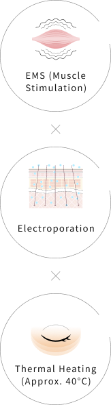EMS (Muscle Movement) / Electroporation / Thermal Heating (Approx. 40°C)