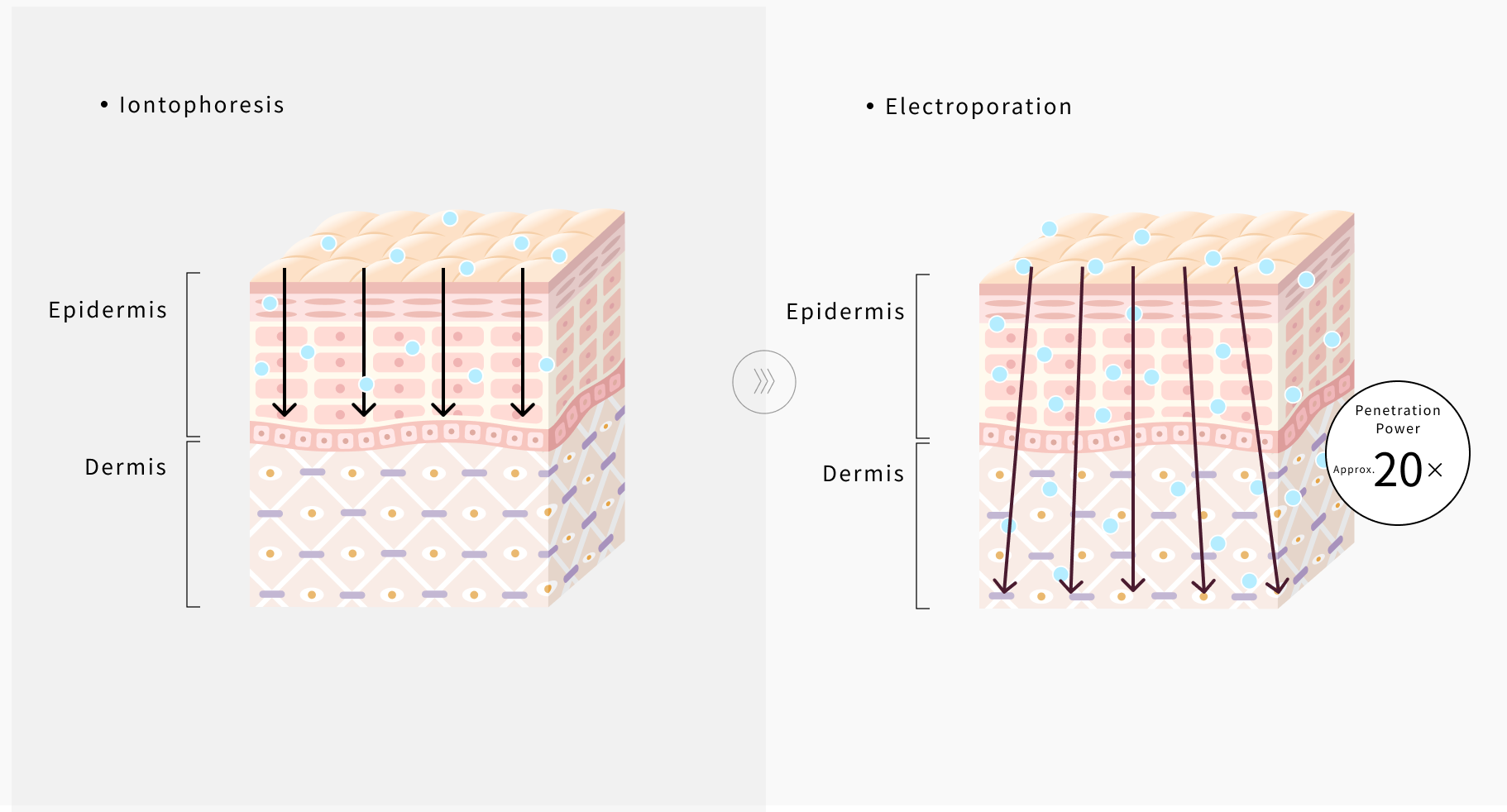 Ion Introduction / Electroporation