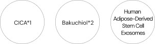 CICA*1 / Bakuchiol*2 / Human Adipose-Derived Stem Cell Exosomes