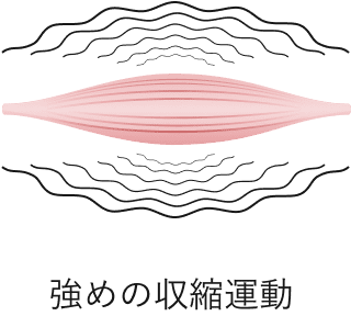 強めの収縮運動